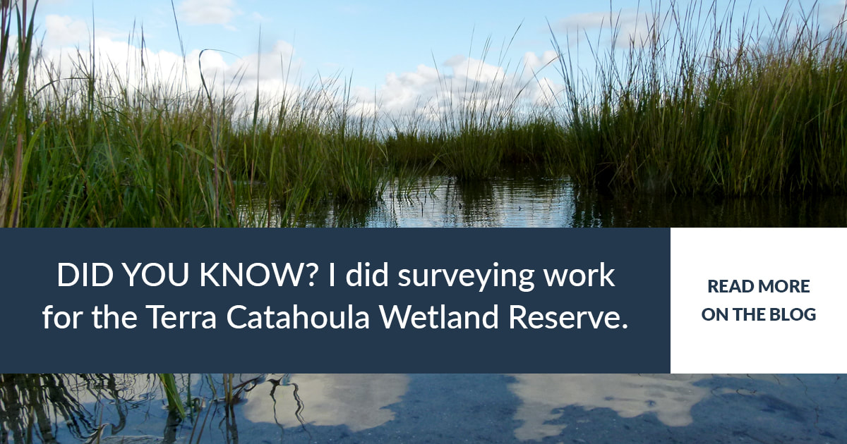 Land Surveying in Thibodaux, Louisiana